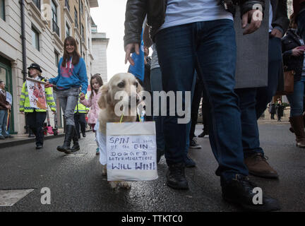 Belvedere Road, Londres, Royaume-Uni. 9 janvier, 2016. Jusqu'à 15 100 étudiants en soins infirmiers, les médecins, le personnel médical et de supports assembler sur Belvedere R Banque D'Images