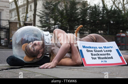 L'ambassade de Russie, Bayswater Road, Londres, Royaume-Uni. 13 janvier, 2016. Londres, Royaume-Uni. Samantha Bentley, aussi connue pour son apparition en jeu des trônes Banque D'Images