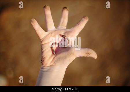 Vue de dessus de boy holding ver sur le terrain Banque D'Images