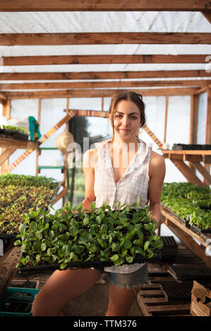 Portrait of female farmer holding seedling bac dans les émissions de Banque D'Images