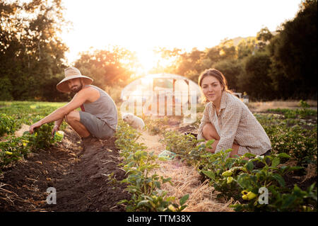 Portrait de l'homme et de la femme les agriculteurs travaillant sur terrain Banque D'Images