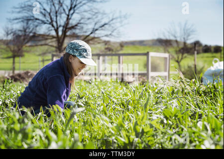 Jeune femme travaillant au jardin communautaire Banque D'Images