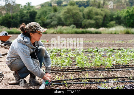 Vue latérale de la productrice flexible de fixation sur terrain Banque D'Images