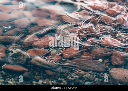 High angle view of pebbles in sea Banque D'Images