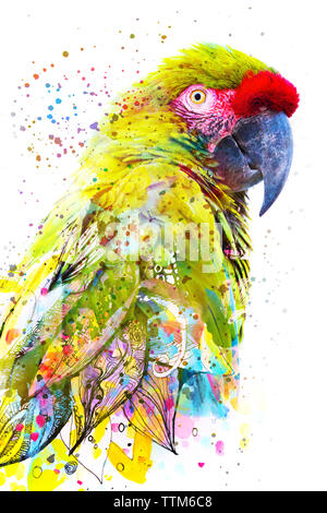 Paintography. Double exposition close up portrait of a tropical superbe mélange perroquet en peinture animée sur fond blanc Banque D'Images