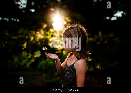 Vue latérale du girl blowing dandelion seed tout en se tenant à la cour Banque D'Images