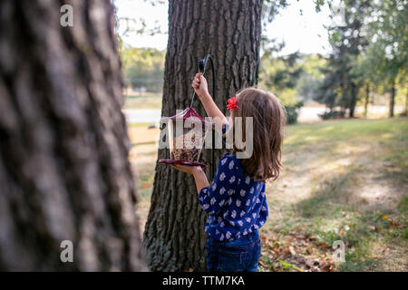Girl hanging mangeoire sur tronc d'arbre tout en se tenant debout dans une cour Banque D'Images