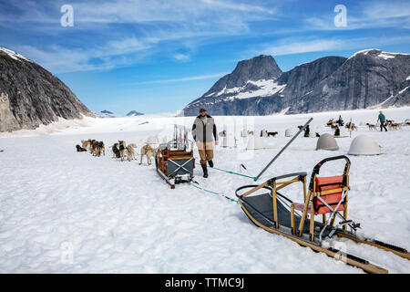 USA, Alaska, Juneau, hélicoptère Tour en traîneau à chiens vous vole sur le glacier à l'HeliMush Taku camp chien à Guardian montagne au-dessus du glacier Taku, Jun Banque D'Images