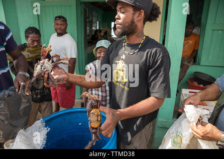 BELIZE, Punta Gorda, Toledo, un séjour au Lodge et Belcampo Belize Jungle ferme peuvent aller au marché local à Punta Gorda pour obtenir des légumes frais Banque D'Images