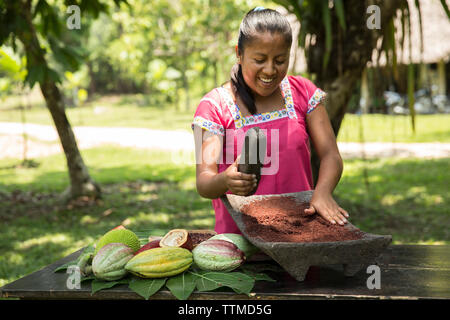 BELIZE, Punta Gorda, Toledo, vous pourrez participer à un Bean pour Bar Chocolat classe où ils vont participer à l'ensemble du processus de transfo Banque D'Images