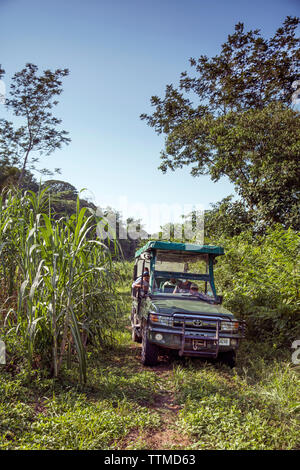 BELIZE, Punta Gorda, Toledo, Belcampo Belize Jungle Lodge et Farm Banque D'Images