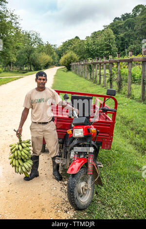 BELIZE, Punta Gorda, Toledo, Belcampo Belize Jungle Lodge et ferme offre un tableau d'une ferme traditionnelle fournie par leur propre ferme biologique, ils ne leur Banque D'Images