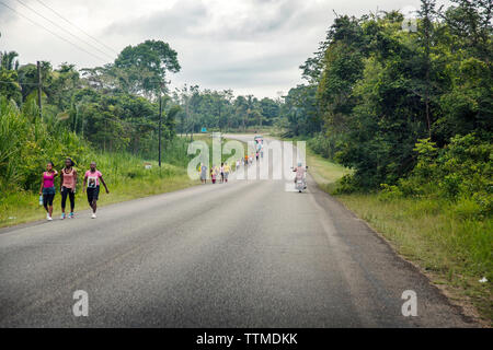 BELIZE, Punta Gorda, Toledo, Belcampo Belize Jungle Lodge et Farm Banque D'Images