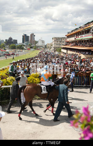 Maurice, Port Louis ; un cheval de course internationale attire des milliers au Champ de Mars ; résultats course jour Jockey International Banque D'Images