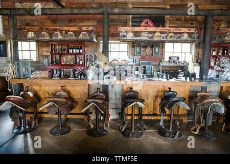 USA, Nevada, les puits, le salon situé à l'intérieur de Mustang Monument, un luxe durable eco friendly resort et à préserver pour les chevaux sauvages, sauver l'Amérique" Banque D'Images