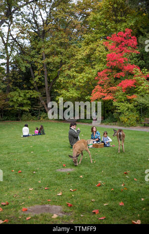 USA (Oregon), Ashland, les familles bénéficient d'un pique-nique et de la faune à Lithia Park Banque D'Images