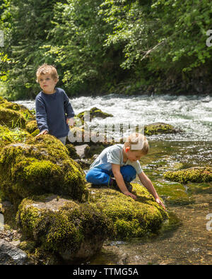 USA, Ohio, Santiam River, Brown Cannon, de jeunes garçons jouant dans la forêt nationale de Willamete près de la rivière Santiam Banque D'Images