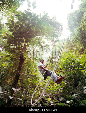 PANAMA, El Valle, Canopy aventure tyrolienne dans la canopée de la Jungle, Advneture la canopée, l'Amérique centrale Banque D'Images