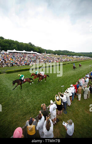 USA, New York, Nashville, Steeplechase Iroquois, les chevaux passent sous le fil au deuxième tour de la septième et dernière course Banque D'Images