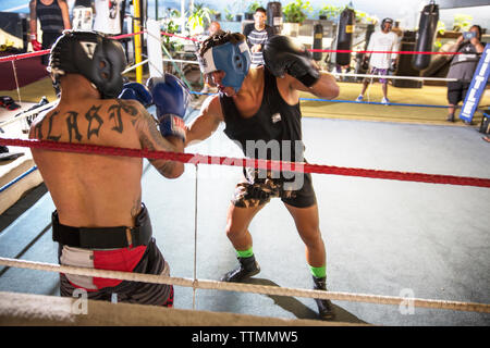 USA, Oahu, Hawaii, MMA (Mixed Martial Arts Ultimate fighter Lowen Tynanes les trains et les espars à son sport à Honolulu Banque D'Images