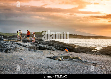 Des îles Galapagos, en Équateur, un groupe de personnes flâner sur la plage et regarder le coucher du soleil de l'île Fernandina Banque D'Images