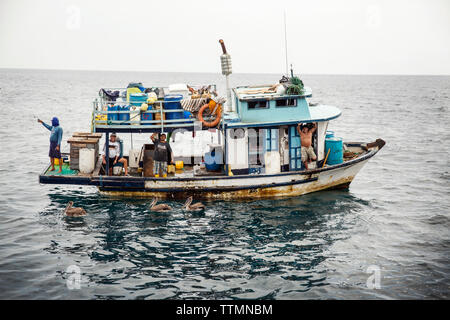 Des îles Galapagos, en Équateur, un bateau de pêche vu de à bord du M/C près de Ocean Spray Tangus Cove Banque D'Images