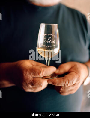 FRANCE, Montigny-les-Arsures, Arbois, Jacques Puffeney est à sa salle barillet tenant un verre de Vin Jaune, Jacques Puffeney Winery, Regi Vins du Jura Banque D'Images