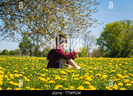 Vue latérale du garçon avec jambe cassée assis au milieu des plantes à fleurs jaunes sur le terrain au parc en journée ensoleillée Banque D'Images