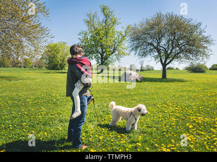 Vue latérale du père exerçant son fils avec jambe cassée en position debout par chien sur grassy field at park Banque D'Images