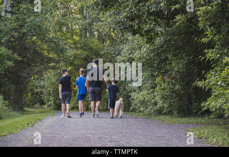 Vue arrière du père avec fils et le chien marche sur sentier au milieu des arbres à park Banque D'Images