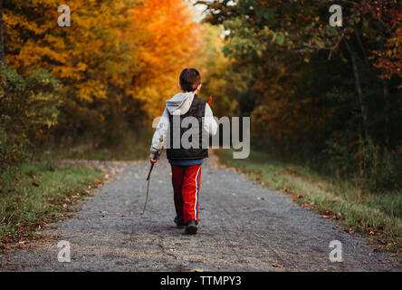 Vue arrière du garçon avec stick marche sur sentier au milieu d'arbres en forêt Banque D'Images