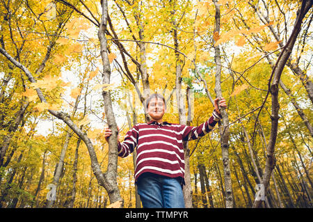 Low angle portrait de garçon debout contre l'arbre d'érable en forêt en automne Banque D'Images