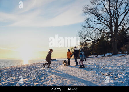 Père et fils de marcher un chien le long d'un chemin enneigé au coucher du soleil. Banque D'Images