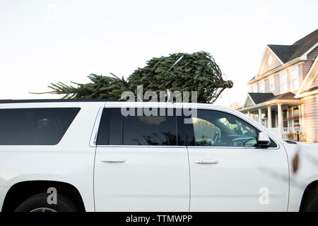 Arbre de Noël sur toit de voiture contre le ciel en ville Banque D'Images