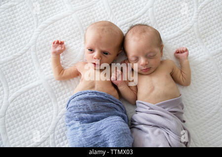 Frais généraux de lits jumeaux nouveau-nés filles ensemble sur lit, couvertures en violet Banque D'Images