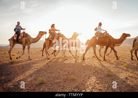 Les touristes à cheval sur des chameaux dans le desert contre ciel lors de journée ensoleillée Banque D'Images