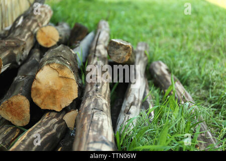 Tas de bois de sciage sur l'herbe Banque D'Images