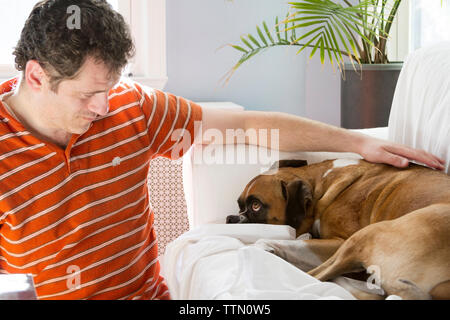 Caucasian man petting dog Boxer blanc couché sur un canapé dans un salon. Man smiling comme ils regardent dans les yeux de chacun. Banque D'Images