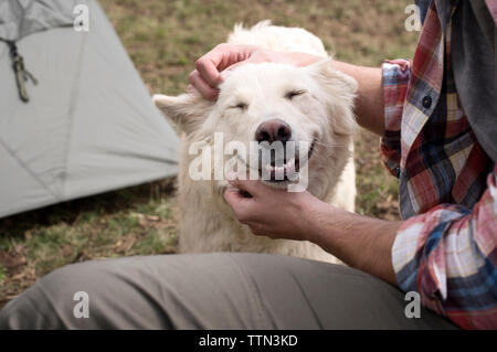 Portrait de l'homme caressant chien au camping Banque D'Images