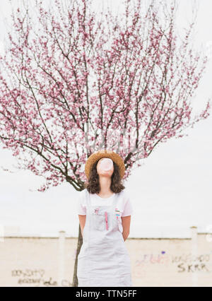 Playful young woman blowing bubble gum debout contre Cherry Tree at park Banque D'Images