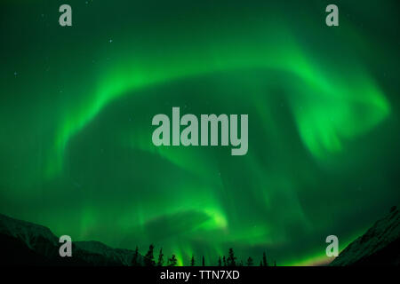 Low angle view of northern lights au nord des Montagnes Rocheuses du parc provincial Banque D'Images