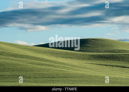 Vue panoramique des collines Palouse contre ciel nuageux Banque D'Images