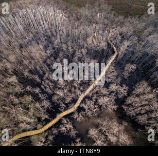 Vue aérienne de la passerelle en bois au milieu d'arbres au marais à Pine Log State Forest Banque D'Images