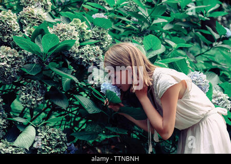 Vue latérale du woman smelling flowers en se tenant par les plantes en forêt Banque D'Images