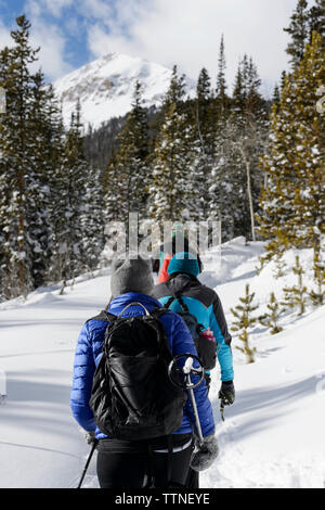 Vue arrière des randonneurs randonnée en forêt durant l'hiver Banque D'Images