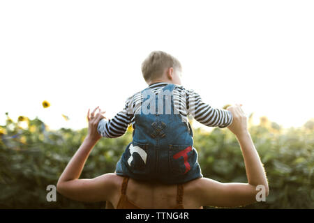 Vue arrière d'un fils assis sur les épaules de la mère au milieu sunflower Banque D'Images