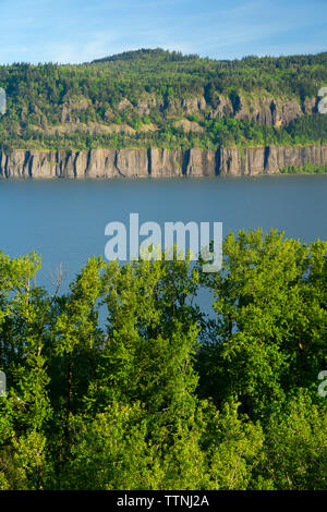 Columbia River de sentier nature, Bridal Veil Falls State Park, Columbia River Gorge National Scenic Area, New York Banque D'Images