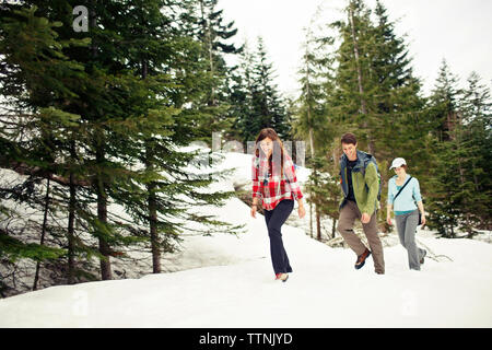 Happy friends walking on snow covered field in forest Banque D'Images