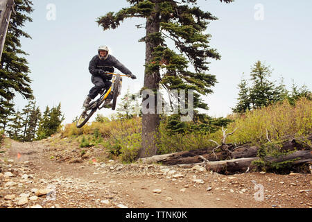 Low angle view of man mountain biking on dirt road contre ciel en forêt Banque D'Images