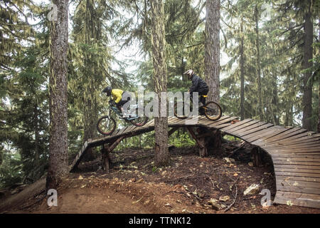 Friends riding mountain bikes sur boardwalk in forest Banque D'Images